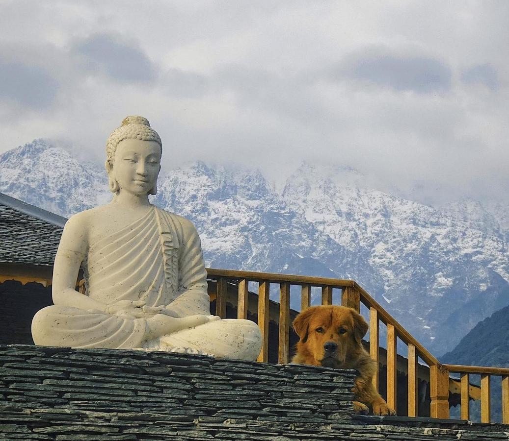 Osho Himalayas Wellness Resort 캉그라 외부 사진